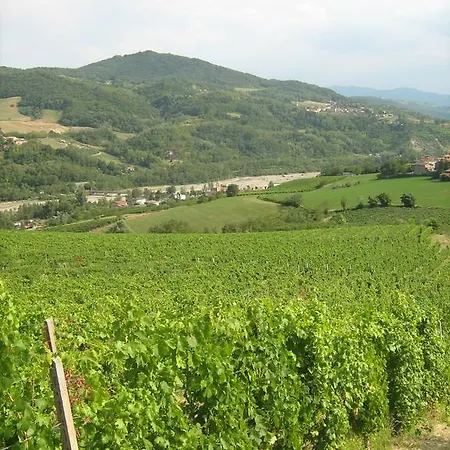 Agriturismo Ronco Delle Rose *