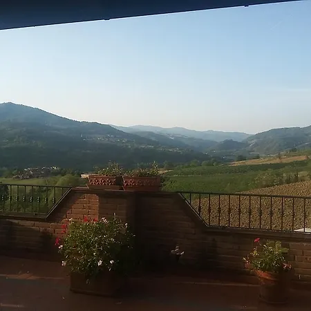 Agriturismo Ronco Delle Rose *