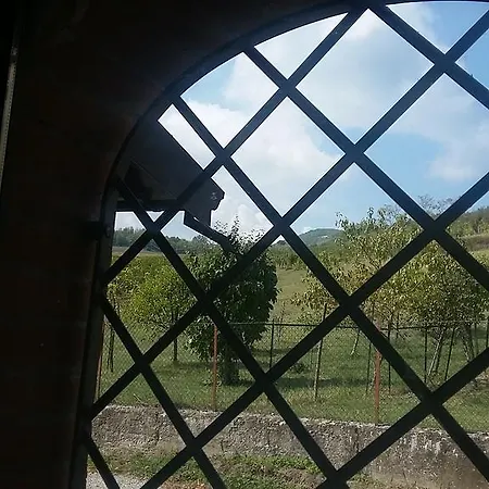 Agriturismo Ronco Delle Rose Farma *